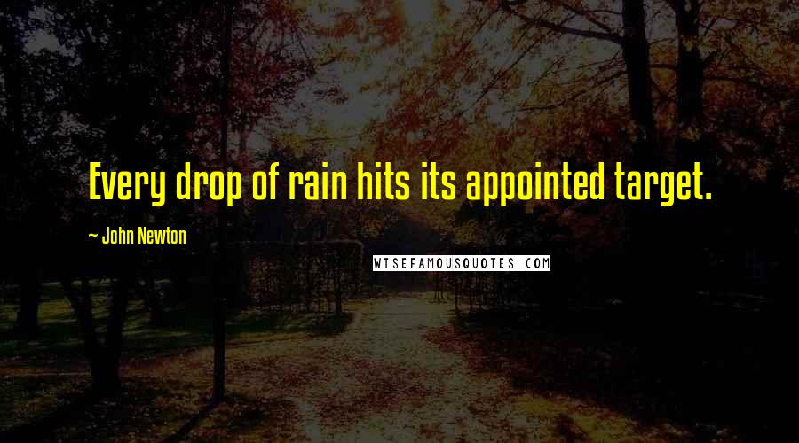 John Newton Quotes: Every drop of rain hits its appointed target.