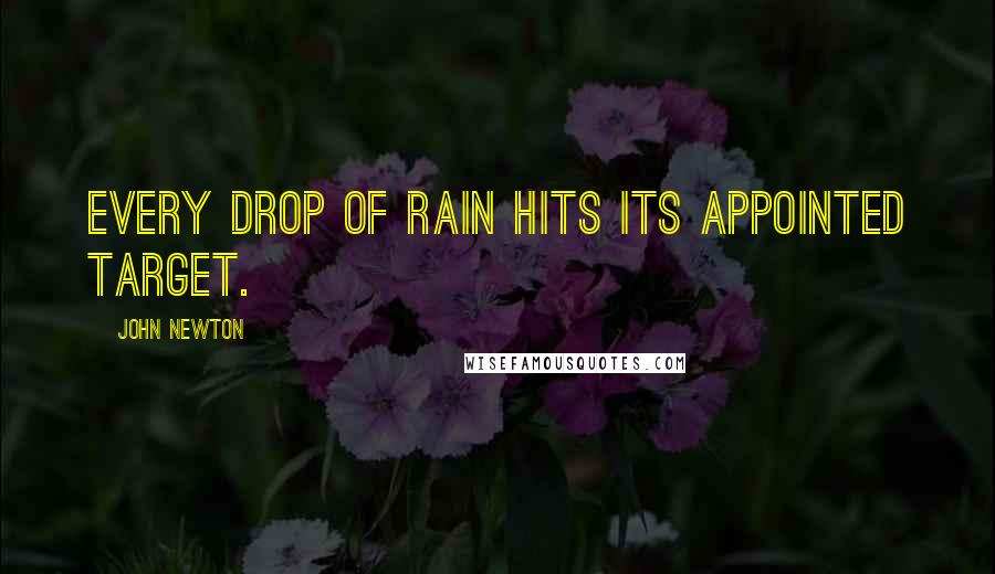 John Newton Quotes: Every drop of rain hits its appointed target.
