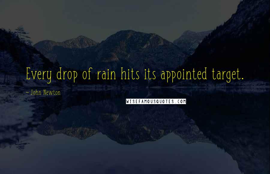 John Newton Quotes: Every drop of rain hits its appointed target.