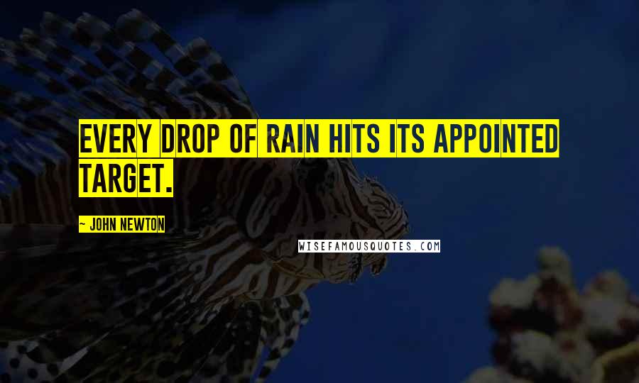 John Newton Quotes: Every drop of rain hits its appointed target.