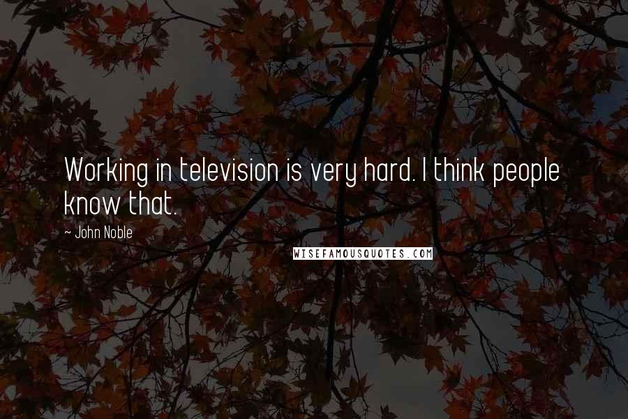 John Noble Quotes: Working in television is very hard. I think people know that.