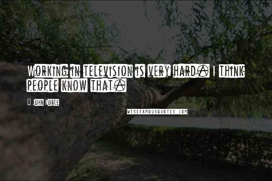 John Noble Quotes: Working in television is very hard. I think people know that.