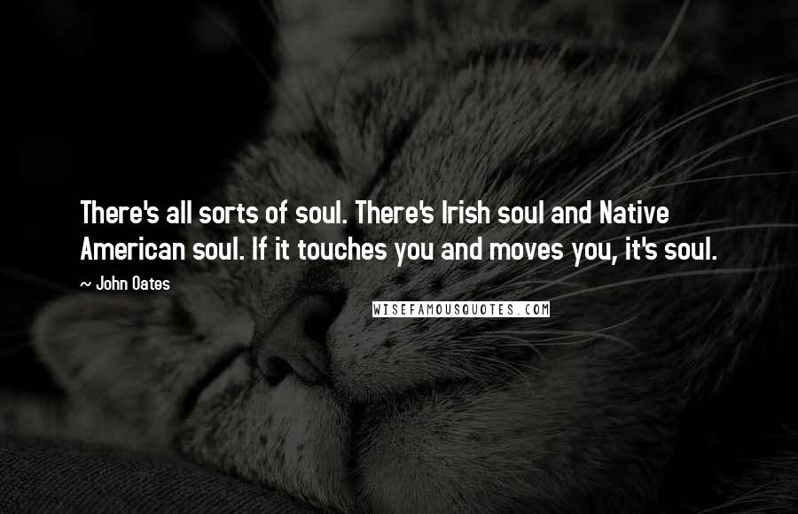 John Oates Quotes: There's all sorts of soul. There's Irish soul and Native American soul. If it touches you and moves you, it's soul.