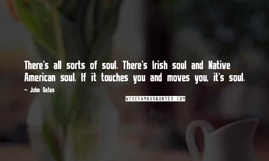 John Oates Quotes: There's all sorts of soul. There's Irish soul and Native American soul. If it touches you and moves you, it's soul.