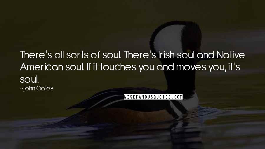 John Oates Quotes: There's all sorts of soul. There's Irish soul and Native American soul. If it touches you and moves you, it's soul.