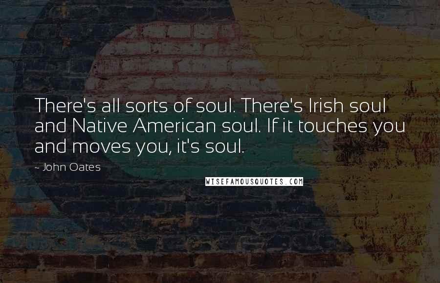 John Oates Quotes: There's all sorts of soul. There's Irish soul and Native American soul. If it touches you and moves you, it's soul.