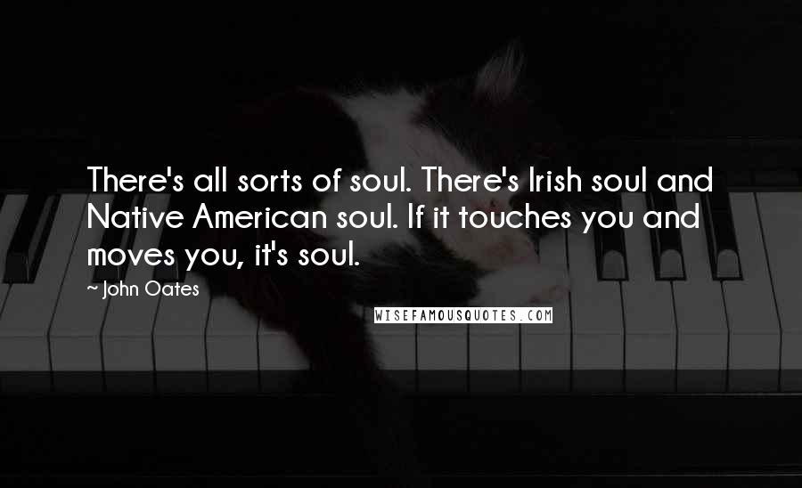 John Oates Quotes: There's all sorts of soul. There's Irish soul and Native American soul. If it touches you and moves you, it's soul.