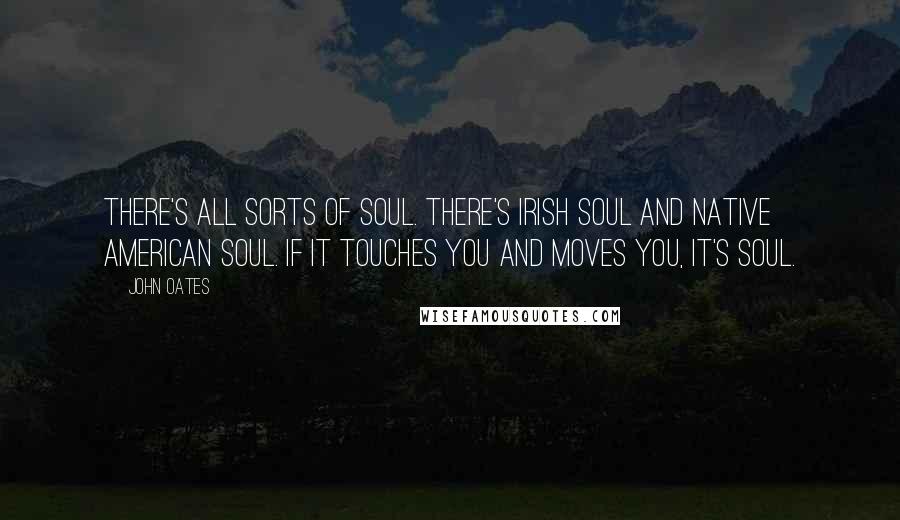 John Oates Quotes: There's all sorts of soul. There's Irish soul and Native American soul. If it touches you and moves you, it's soul.