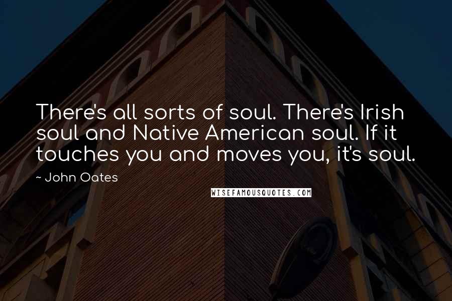 John Oates Quotes: There's all sorts of soul. There's Irish soul and Native American soul. If it touches you and moves you, it's soul.