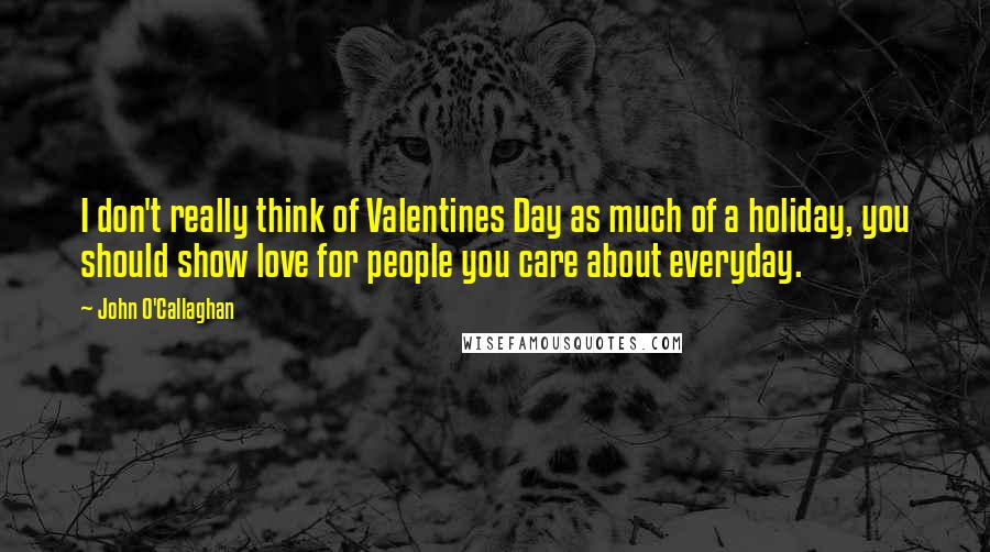 John O'Callaghan Quotes: I don't really think of Valentines Day as much of a holiday, you should show love for people you care about everyday.