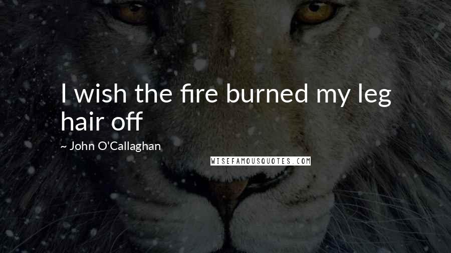 John O'Callaghan Quotes: I wish the fire burned my leg hair off