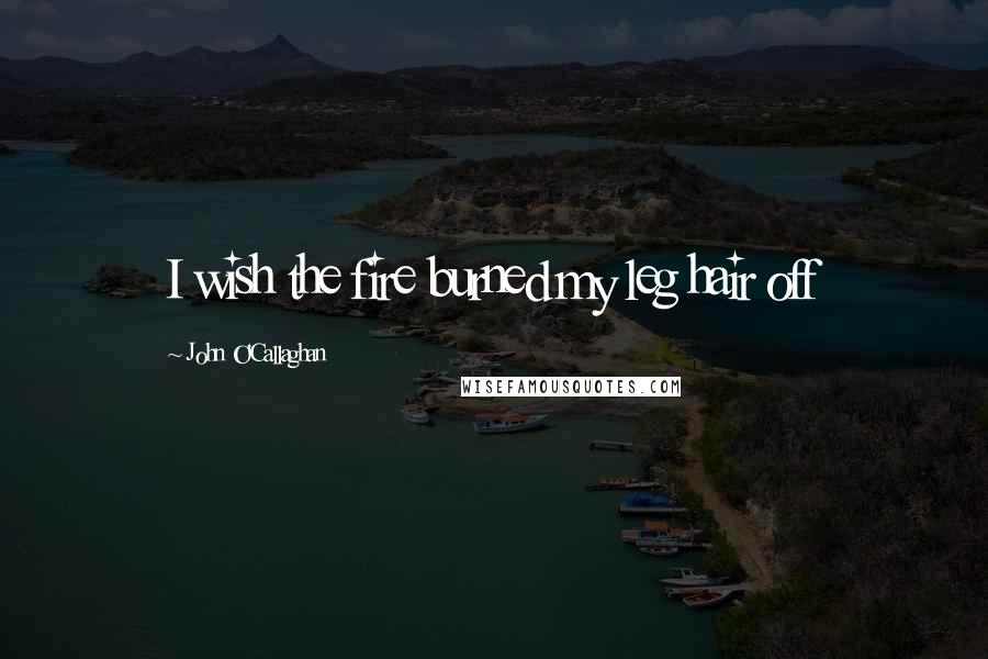John O'Callaghan Quotes: I wish the fire burned my leg hair off