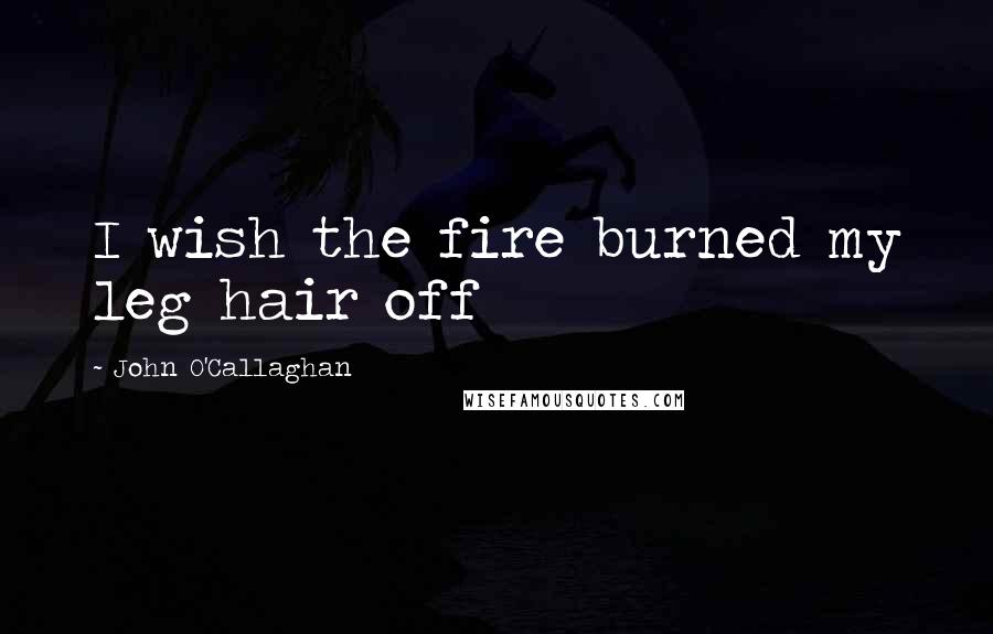 John O'Callaghan Quotes: I wish the fire burned my leg hair off