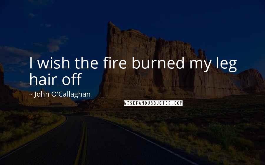 John O'Callaghan Quotes: I wish the fire burned my leg hair off