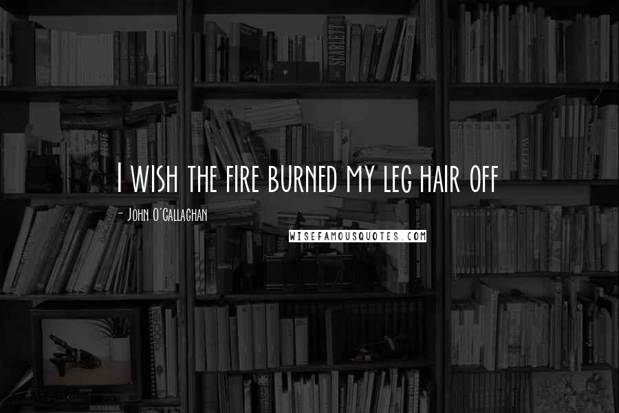 John O'Callaghan Quotes: I wish the fire burned my leg hair off