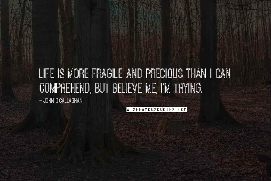 John O'Callaghan Quotes: Life is more fragile and precious than I can comprehend, but believe me, I'm trying.