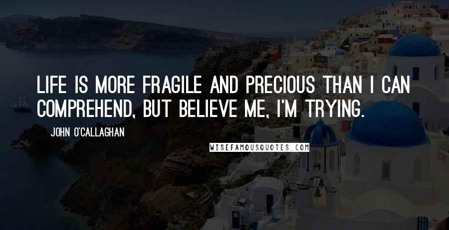 John O'Callaghan Quotes: Life is more fragile and precious than I can comprehend, but believe me, I'm trying.