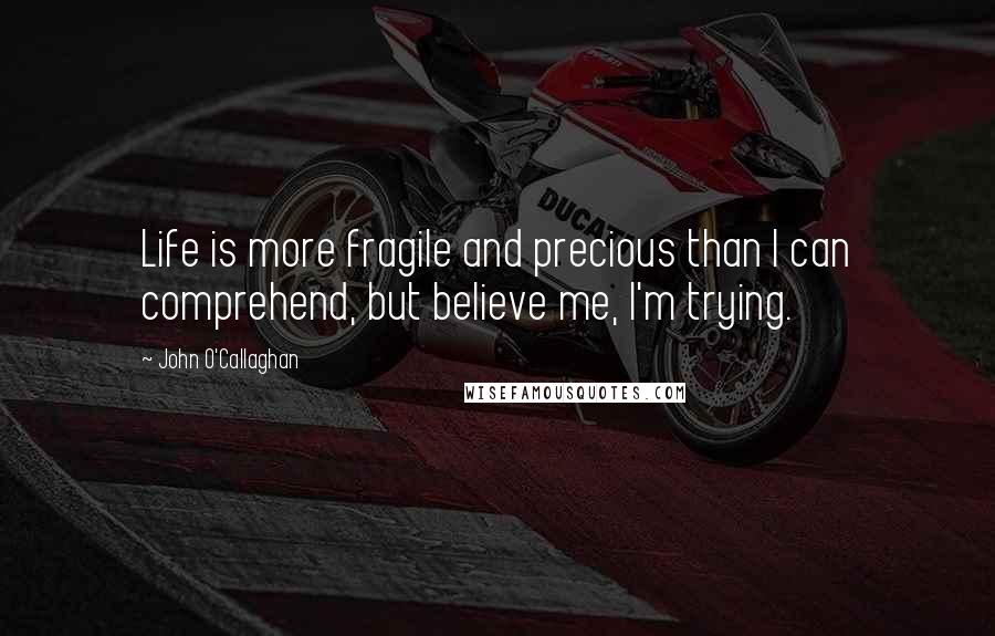 John O'Callaghan Quotes: Life is more fragile and precious than I can comprehend, but believe me, I'm trying.