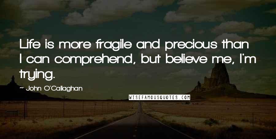 John O'Callaghan Quotes: Life is more fragile and precious than I can comprehend, but believe me, I'm trying.