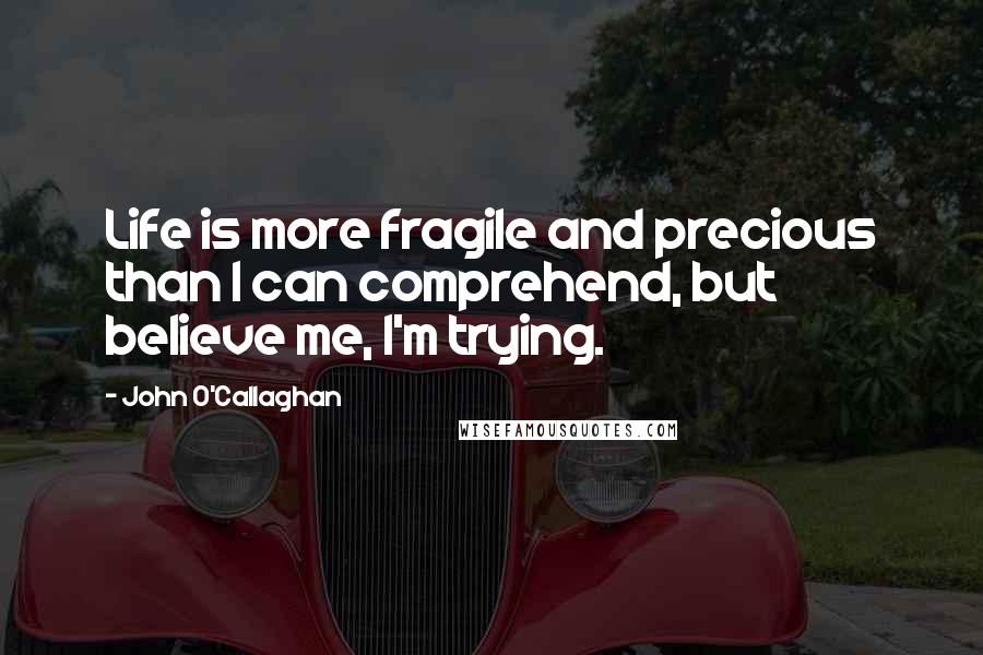 John O'Callaghan Quotes: Life is more fragile and precious than I can comprehend, but believe me, I'm trying.