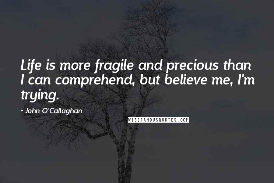 John O'Callaghan Quotes: Life is more fragile and precious than I can comprehend, but believe me, I'm trying.