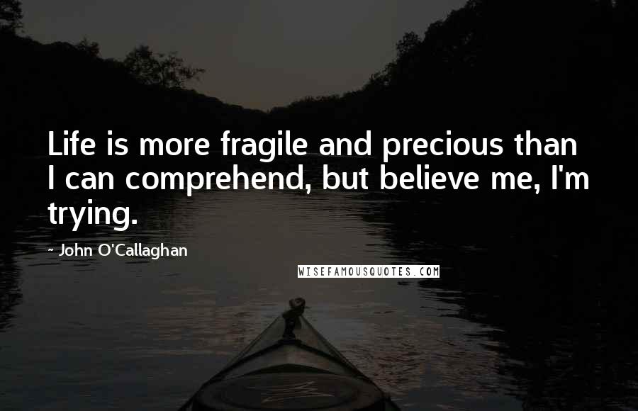 John O'Callaghan Quotes: Life is more fragile and precious than I can comprehend, but believe me, I'm trying.