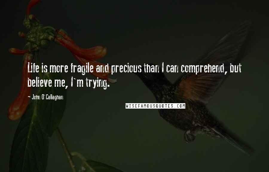 John O'Callaghan Quotes: Life is more fragile and precious than I can comprehend, but believe me, I'm trying.