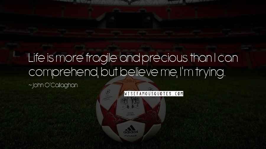 John O'Callaghan Quotes: Life is more fragile and precious than I can comprehend, but believe me, I'm trying.