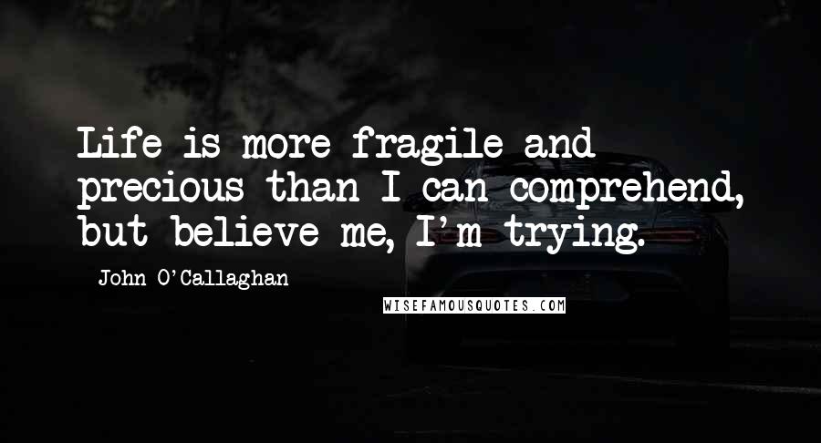 John O'Callaghan Quotes: Life is more fragile and precious than I can comprehend, but believe me, I'm trying.