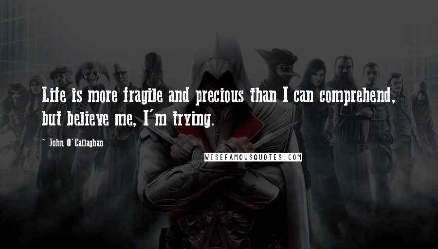 John O'Callaghan Quotes: Life is more fragile and precious than I can comprehend, but believe me, I'm trying.