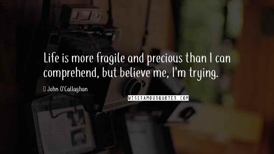 John O'Callaghan Quotes: Life is more fragile and precious than I can comprehend, but believe me, I'm trying.