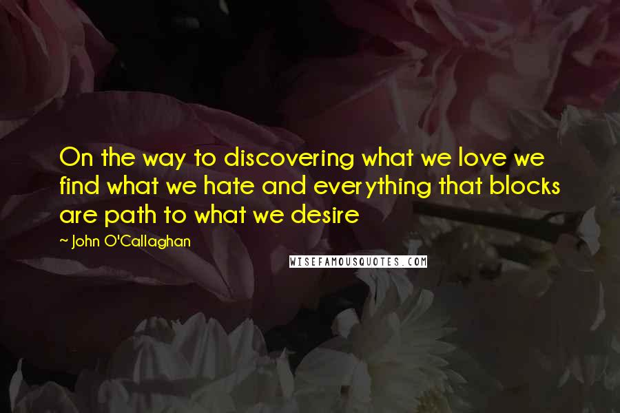 John O'Callaghan Quotes: On the way to discovering what we love we find what we hate and everything that blocks are path to what we desire