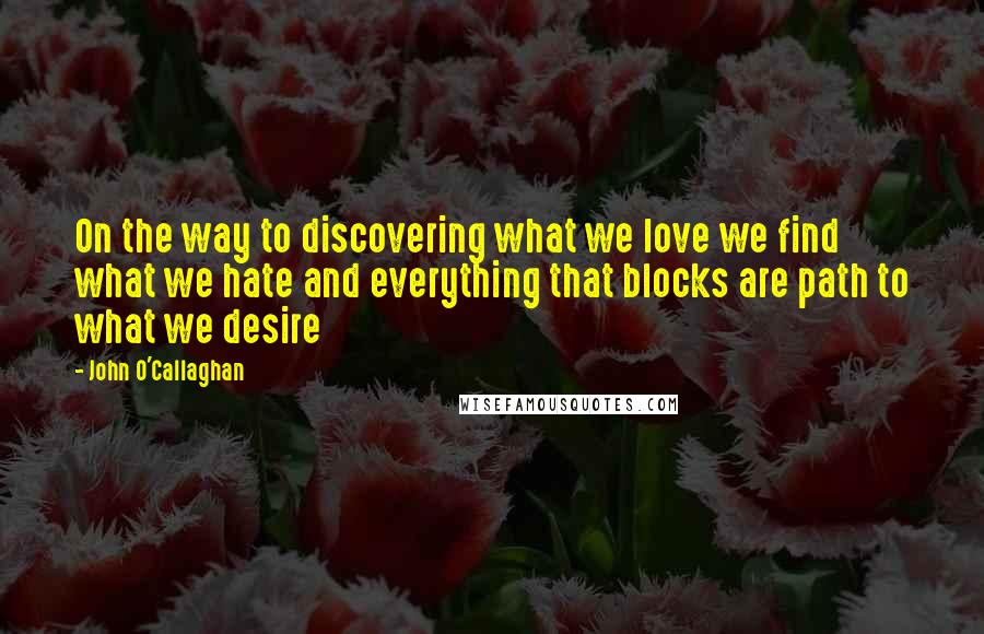 John O'Callaghan Quotes: On the way to discovering what we love we find what we hate and everything that blocks are path to what we desire