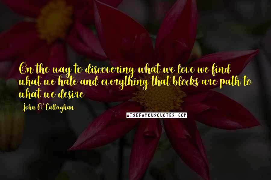 John O'Callaghan Quotes: On the way to discovering what we love we find what we hate and everything that blocks are path to what we desire