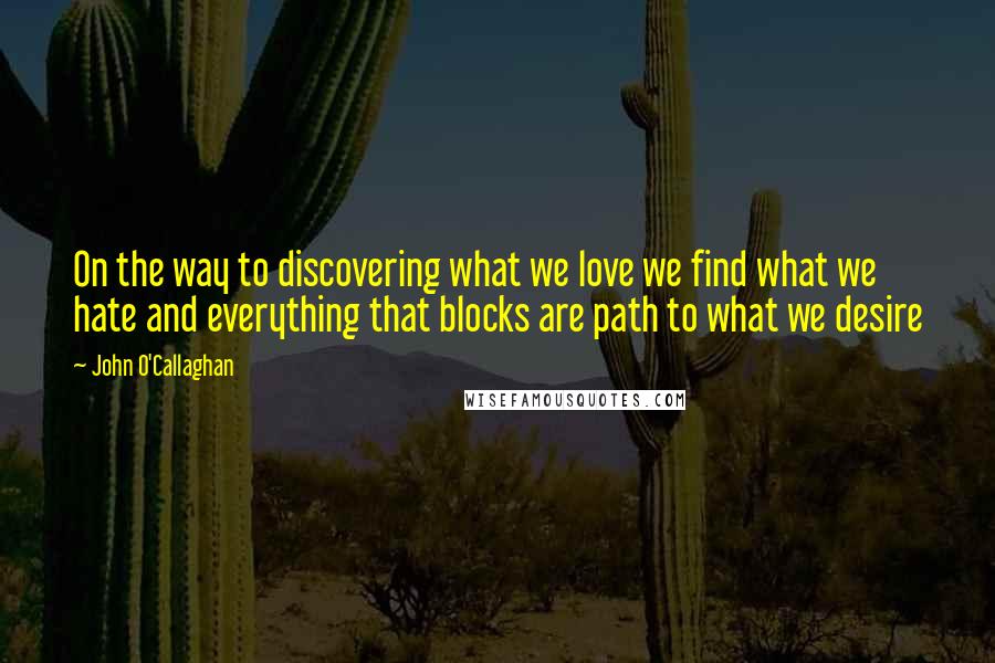 John O'Callaghan Quotes: On the way to discovering what we love we find what we hate and everything that blocks are path to what we desire