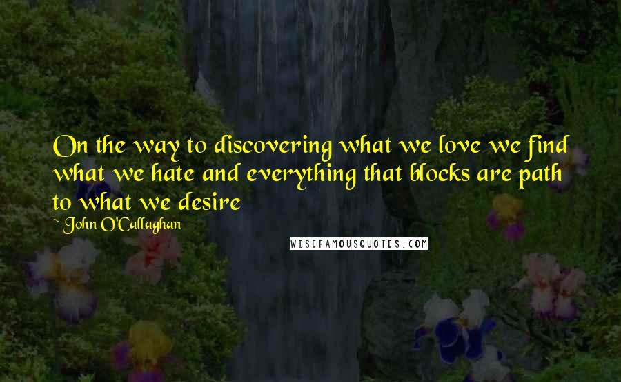 John O'Callaghan Quotes: On the way to discovering what we love we find what we hate and everything that blocks are path to what we desire
