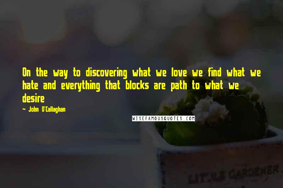 John O'Callaghan Quotes: On the way to discovering what we love we find what we hate and everything that blocks are path to what we desire