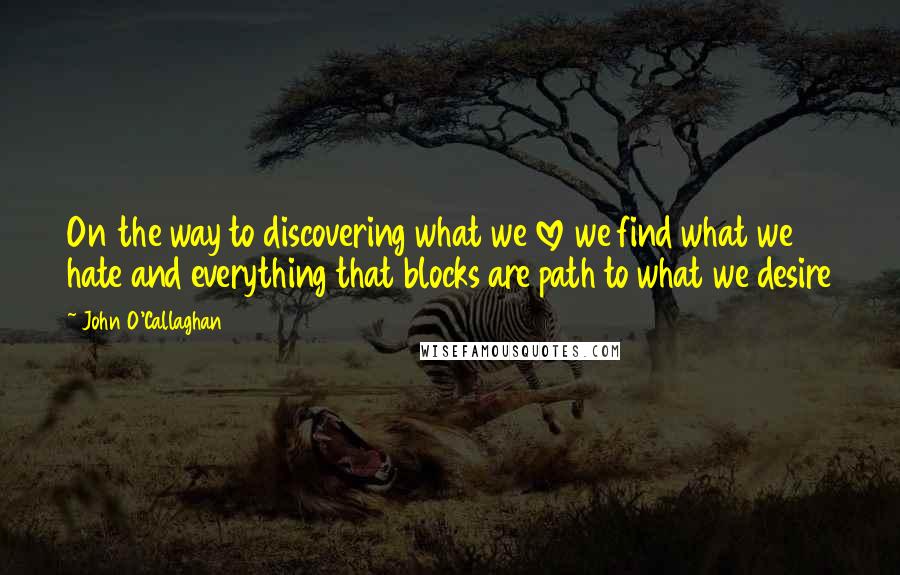 John O'Callaghan Quotes: On the way to discovering what we love we find what we hate and everything that blocks are path to what we desire