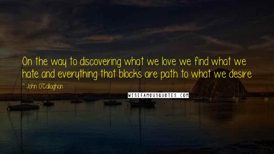 John O'Callaghan Quotes: On the way to discovering what we love we find what we hate and everything that blocks are path to what we desire