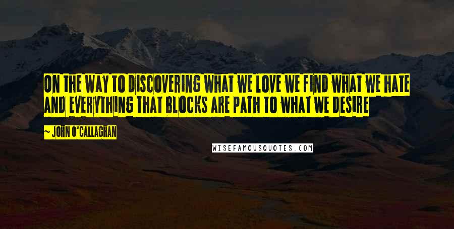 John O'Callaghan Quotes: On the way to discovering what we love we find what we hate and everything that blocks are path to what we desire