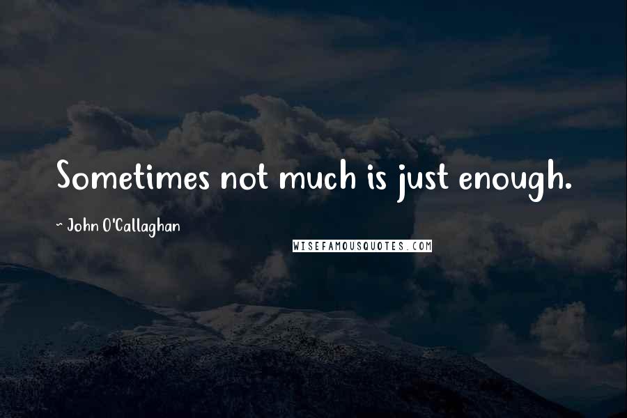 John O'Callaghan Quotes: Sometimes not much is just enough.