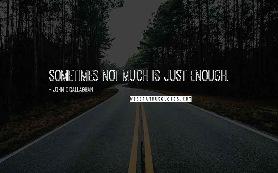 John O'Callaghan Quotes: Sometimes not much is just enough.