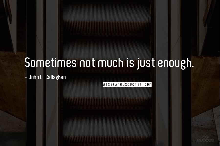 John O'Callaghan Quotes: Sometimes not much is just enough.