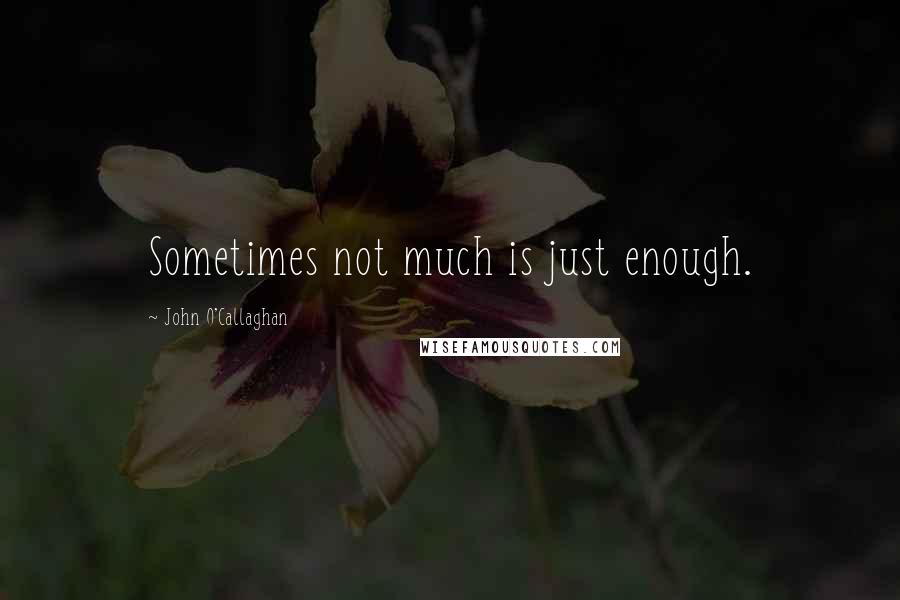 John O'Callaghan Quotes: Sometimes not much is just enough.