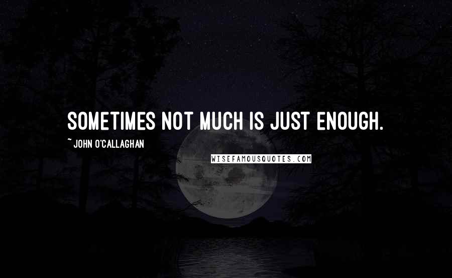 John O'Callaghan Quotes: Sometimes not much is just enough.