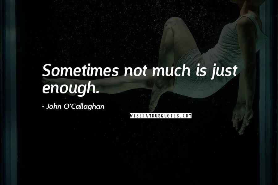 John O'Callaghan Quotes: Sometimes not much is just enough.