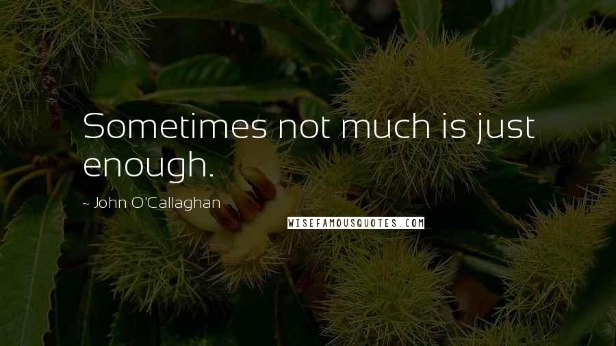 John O'Callaghan Quotes: Sometimes not much is just enough.