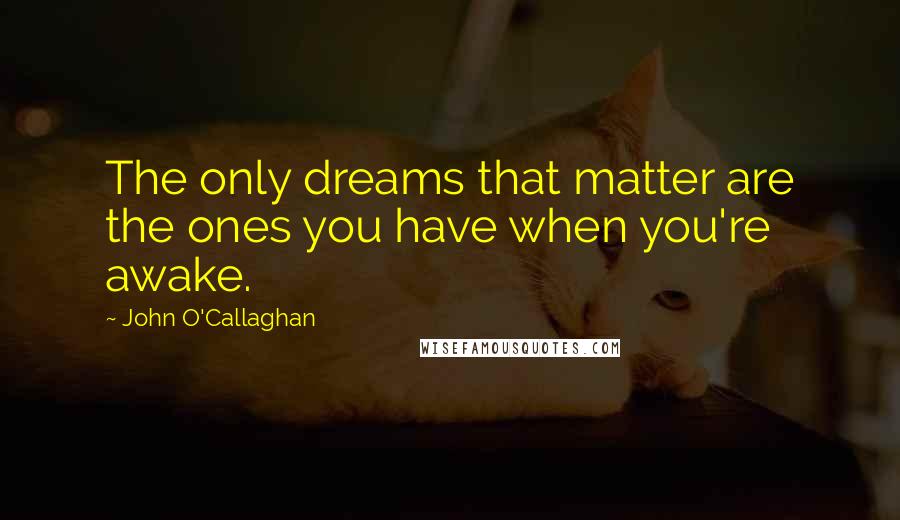 John O'Callaghan Quotes: The only dreams that matter are the ones you have when you're awake.