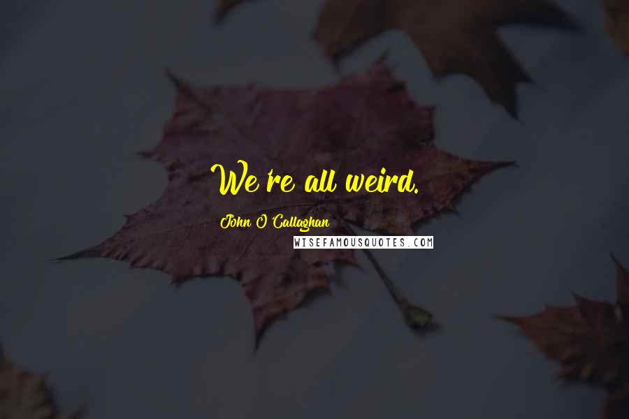 John O'Callaghan Quotes: We're all weird.