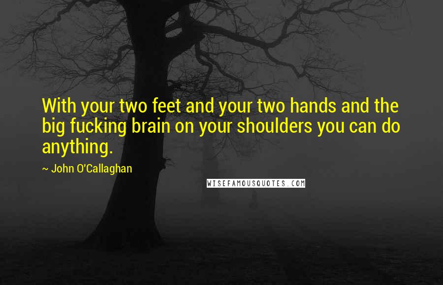 John O'Callaghan Quotes: With your two feet and your two hands and the big fucking brain on your shoulders you can do anything.